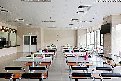 玩家社区支持《生化4RE》艾达王配音：骚扰她的是人渣